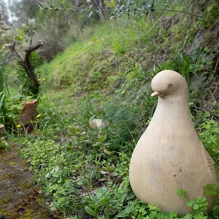Διαμέρισμα La Finestra Sulle Eolie